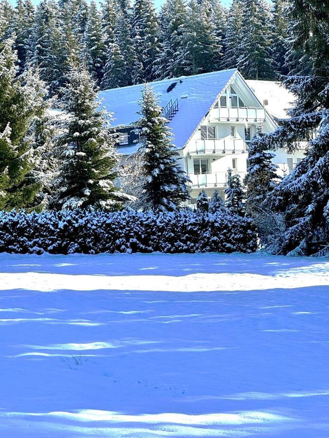 Luxuswohnung Traumblick - Neubau 2023 Schluchsee Eksteriør bilde